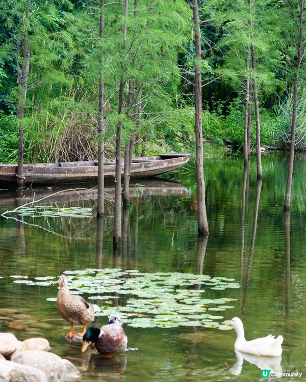 深圳寶安精選美食、人文Citywalk路線✨打卡必去咖啡一條街☕