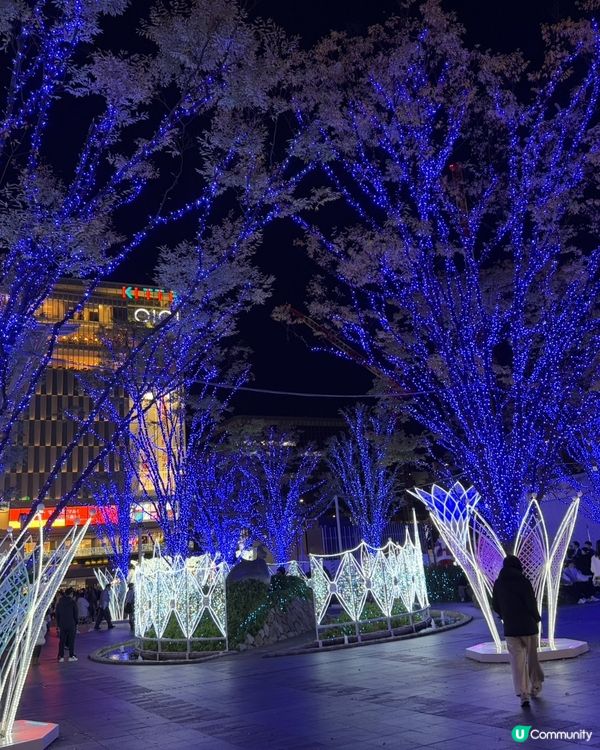 福岡聖誕裝飾🎄