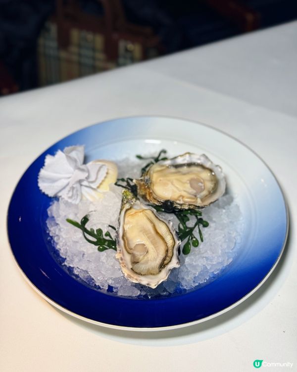 情侶約會首選❣️蠔扒大餐❣️