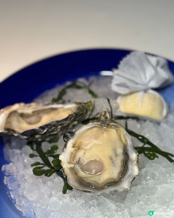 情侶約會首選❣️蠔扒大餐❣️