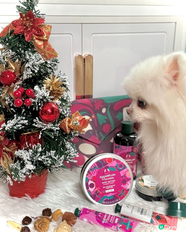 The Body Shop｢Warpped In Love愛...