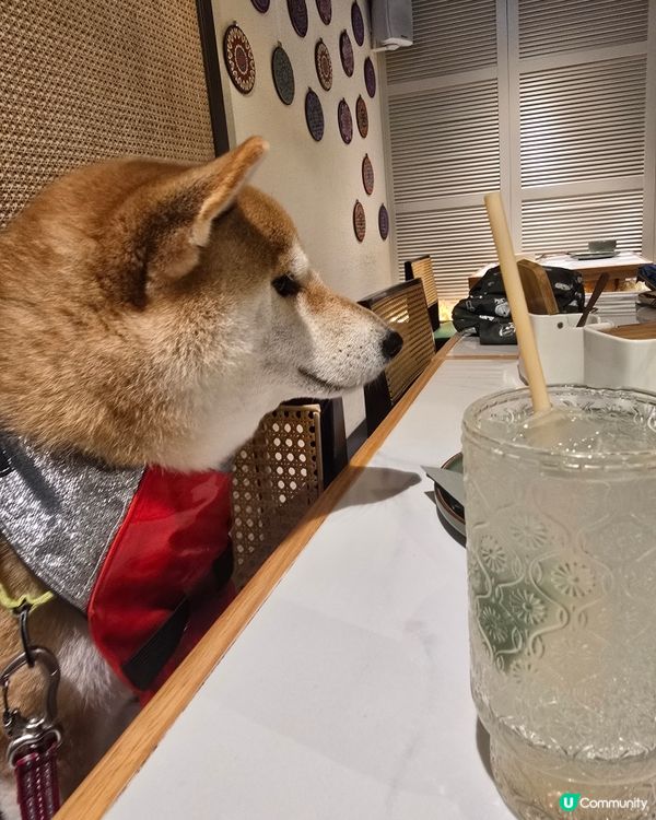 D2place 食越南菜