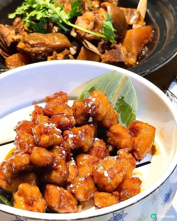 綠茶餐廳冬日暖笠笠！米芝蓮級中菜😋