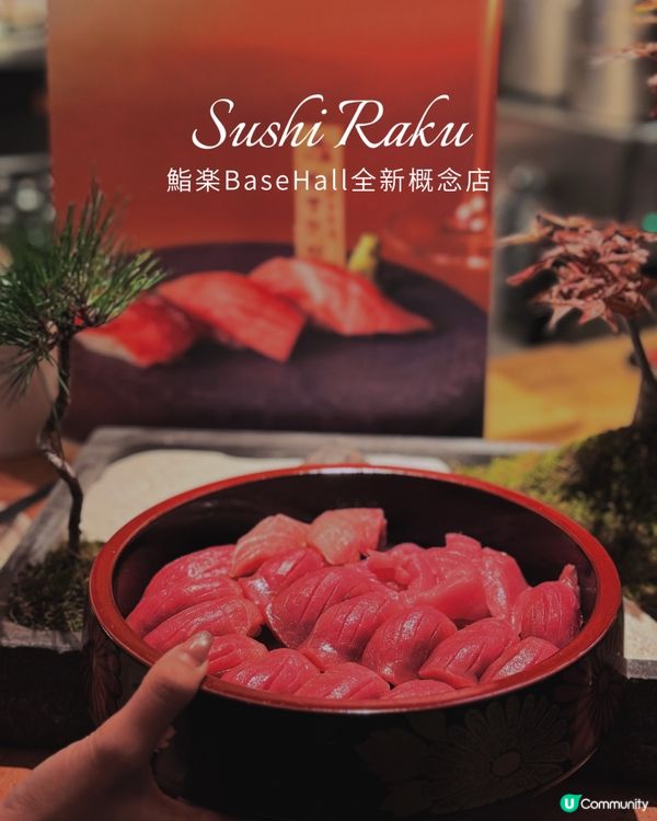中環鮨樂新登場！藍鰭吞拿專門店🤤🍣🥂