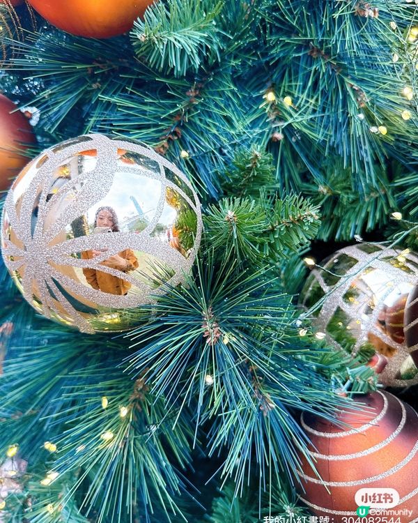 西九聖誕攻略🎄！毛孩都玩得🥳！