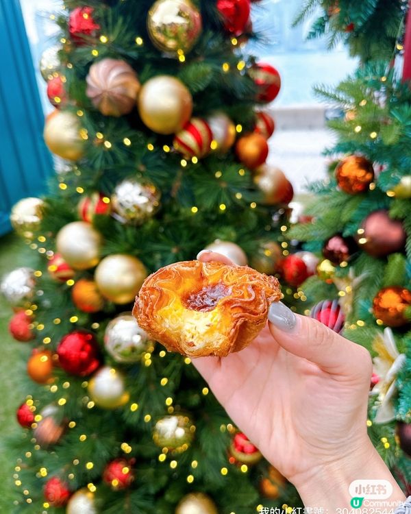 西九聖誕攻略🎄！毛孩都玩得🥳！