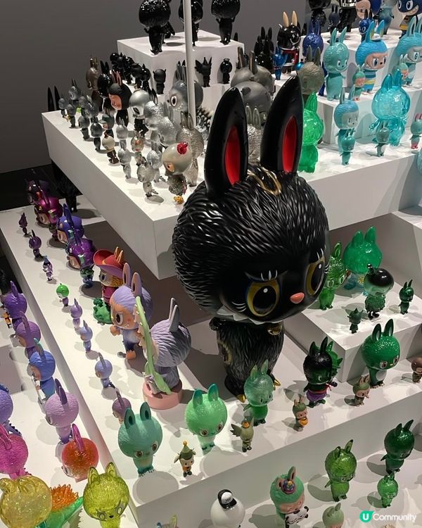 龍家昇巡展香港站！🤩 珍藏公仔超可愛！快啲去打卡📸！