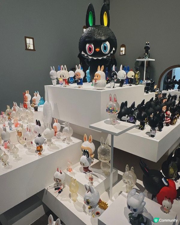 龍家昇巡展香港站！🤩 珍藏公仔超可愛！快啲去打卡📸！