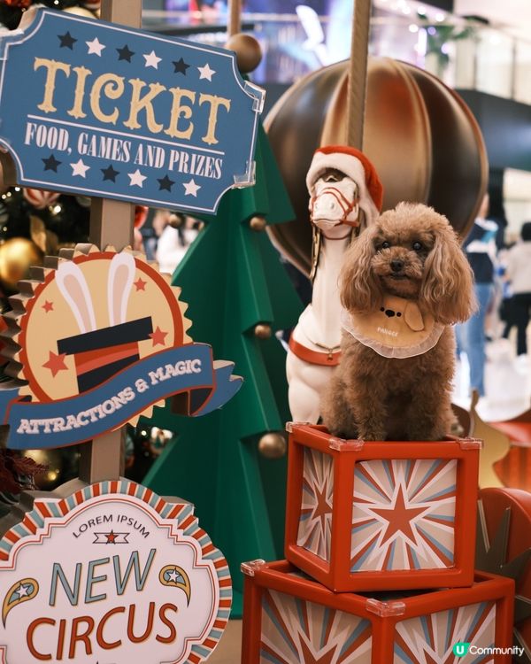 Christmas is coming🎄