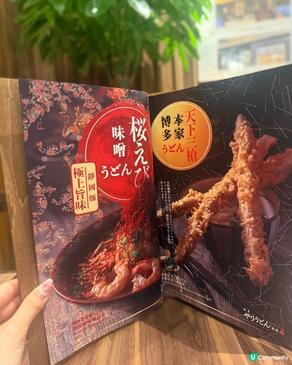從福岡直送的美味🇯🇵日本過江龍烏冬店🍜