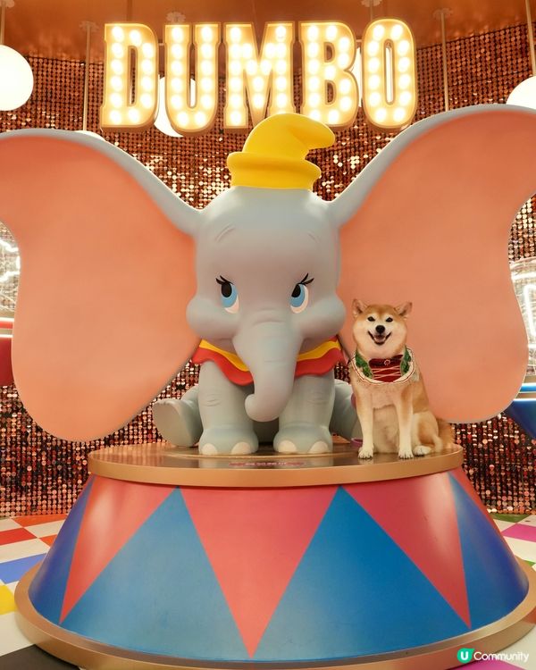 🐘Dumbo聖誕飛翔狂想曲✨