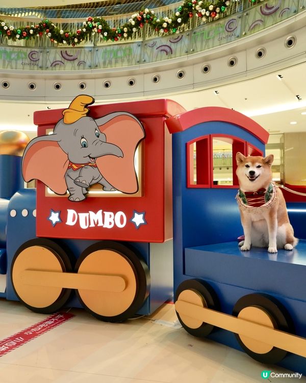 🐘Dumbo聖誕飛翔狂想曲✨