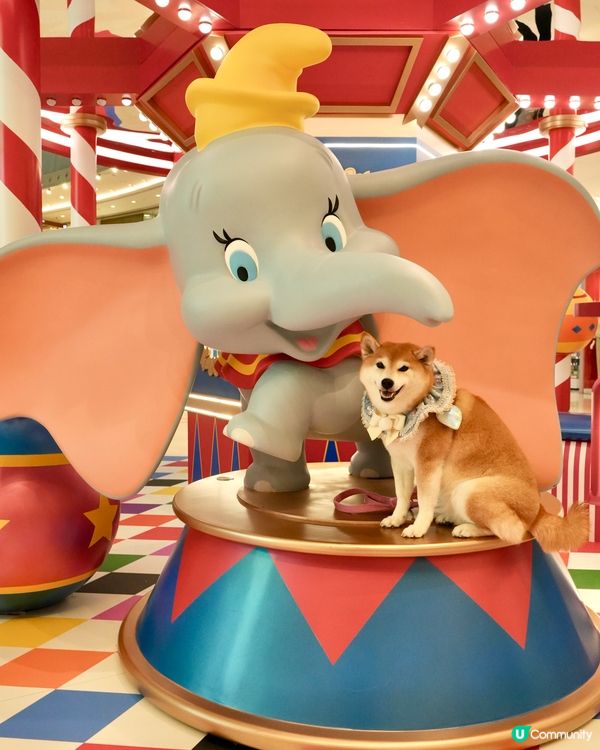 🐘Dumbo聖誕飛翔狂想曲✨
