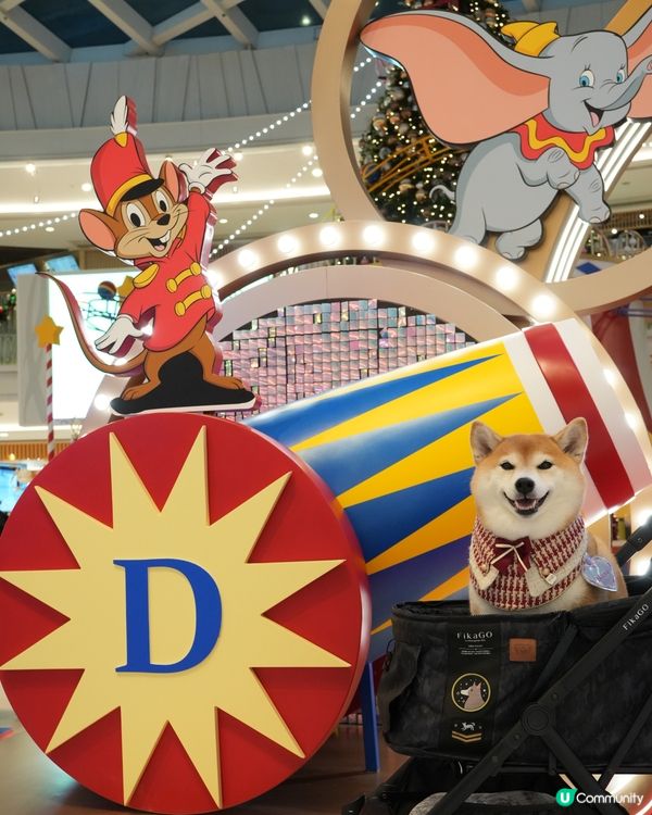 🐘Dumbo聖誕飛翔狂想曲✨