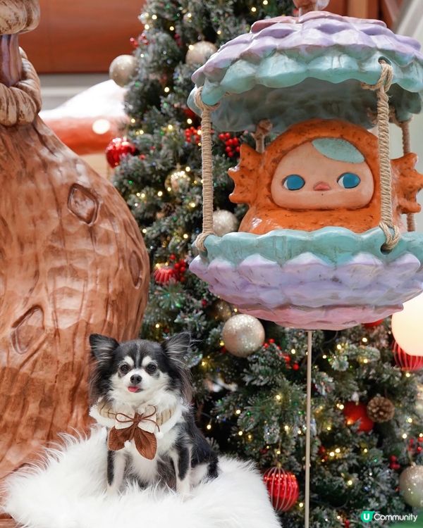 🧚Pucky聖誕奇幻森林✨🎄