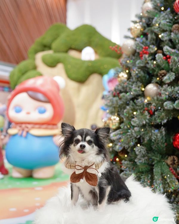 🧚Pucky聖誕奇幻森林✨🎄