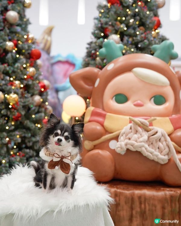 🧚Pucky聖誕奇幻森林✨🎄