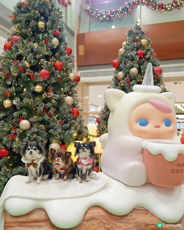 🧚Pucky聖誕奇幻森林✨🎄