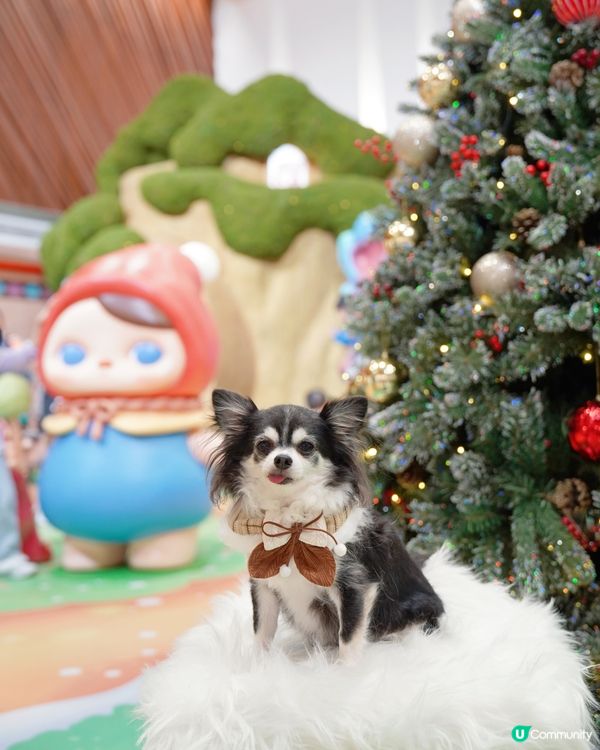 🧚Pucky聖誕奇幻森林✨🎄