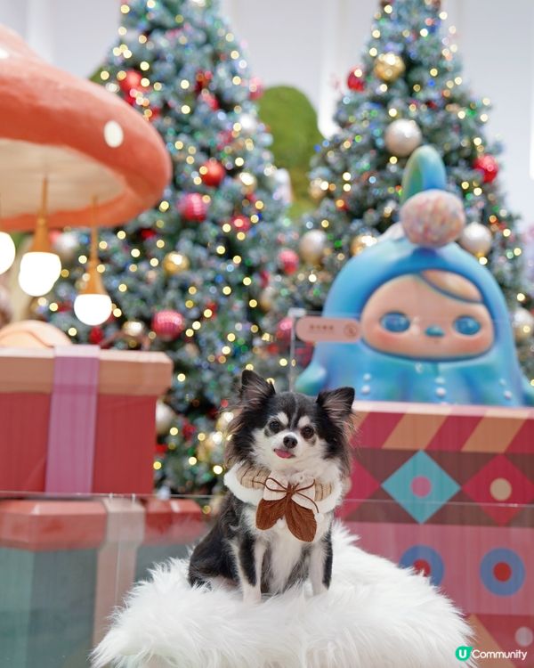 🧚Pucky聖誕奇幻森林✨🎄