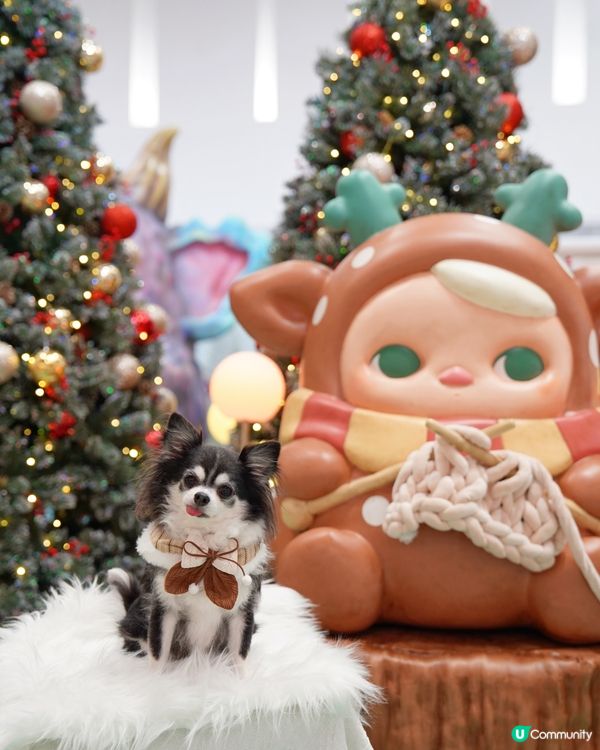 🧚Pucky聖誕奇幻森林✨🎄