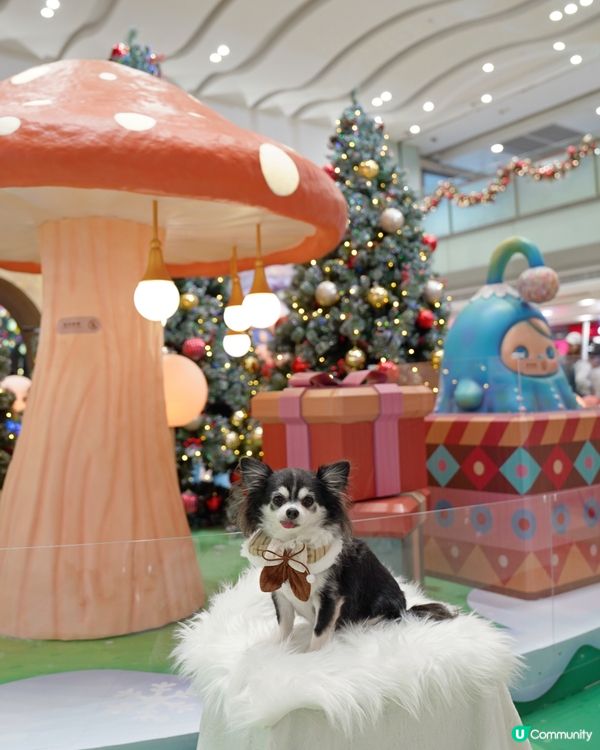 🧚Pucky聖誕奇幻森林✨🎄