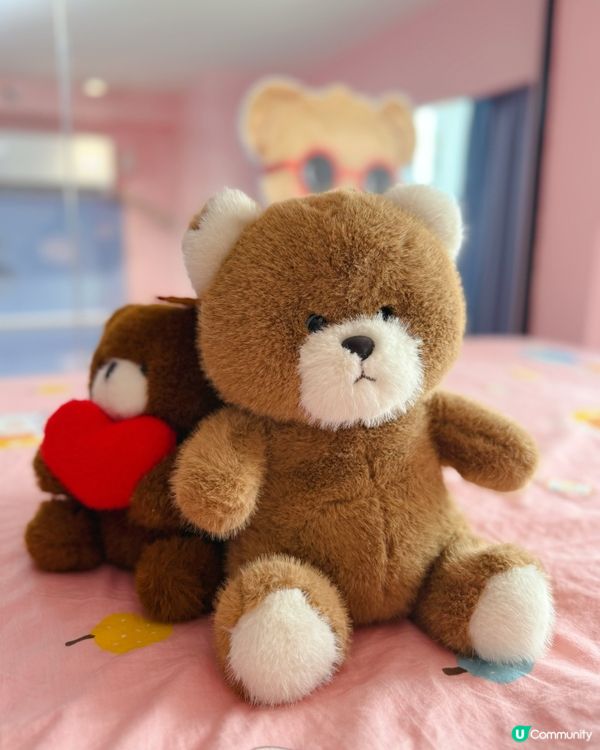 【泰迪熊民宿🐻！人均100-珠海親子遊🤩】