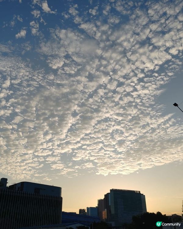 香港早晨