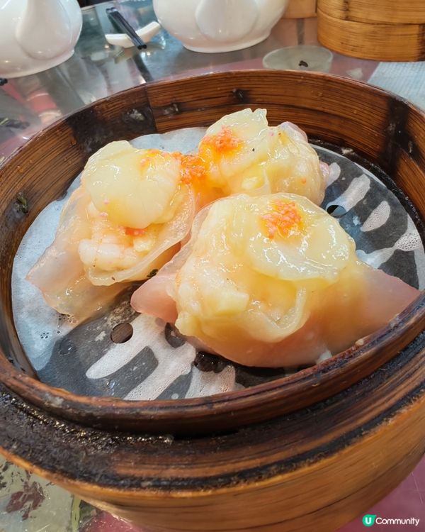 蓮香樓懷舊點心之旅！😋 傳統滋味，香港情懷！🇭🇰