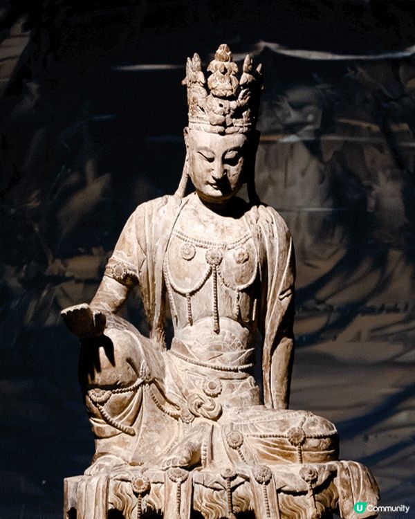 深圳展出超大型「恐龍骨架」真品🦕200+件全球文物真跡必去‼️