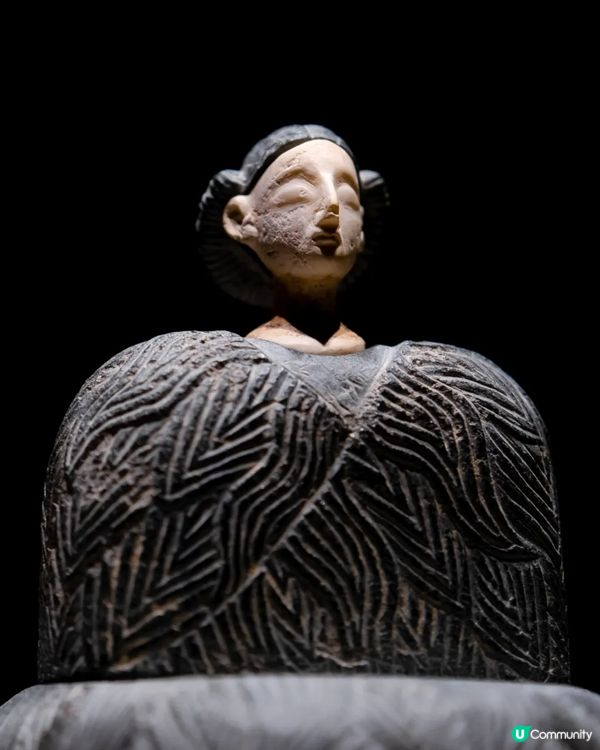 深圳展出超大型「恐龍骨架」真品🦕200+件全球文物真跡必去‼️