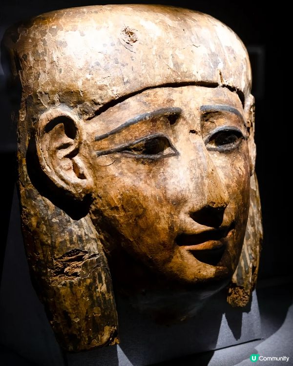 深圳展出超大型「恐龍骨架」真品🦕200+件全球文物真跡必去‼️