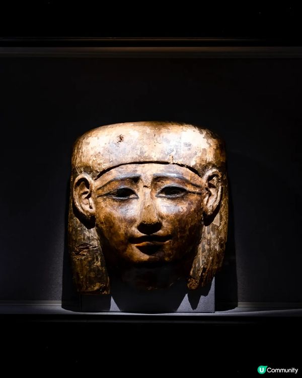 深圳展出超大型「恐龍骨架」真品🦕200+件全球文物真跡必去‼️