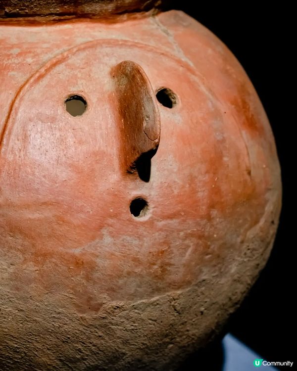 深圳展出超大型「恐龍骨架」真品🦕200+件全球文物真跡必去‼️