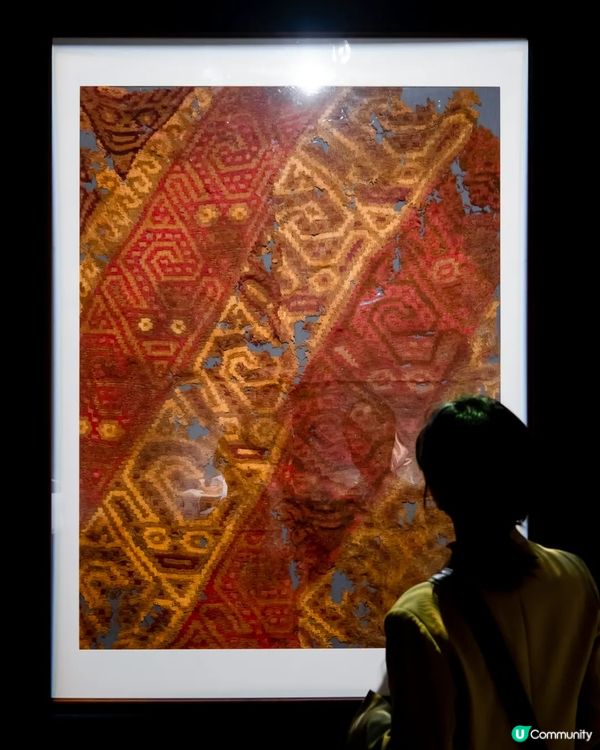 深圳展出超大型「恐龍骨架」真品🦕200+件全球文物真跡必去‼️