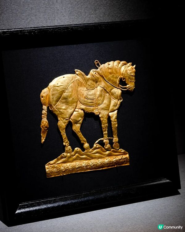 深圳展出超大型「恐龍骨架」真品🦕200+件全球文物真跡必去‼️