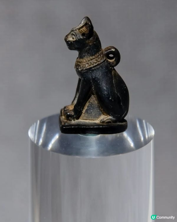 深圳展出超大型「恐龍骨架」真品🦕200+件全球文物真跡必去‼️