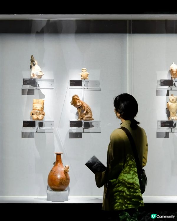 深圳展出超大型「恐龍骨架」真品🦕200+件全球文物真跡必去‼️