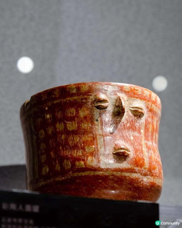 深圳展出超大型「恐龍骨架」真品🦕200+件全球文物真跡必去‼️