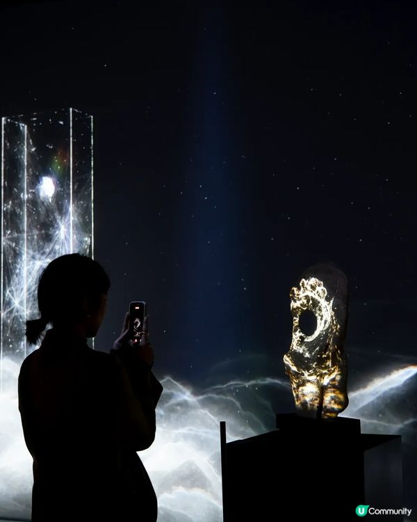 深圳展出超大型「恐龍骨架」真品🦕200+件全球文物真跡必去‼️