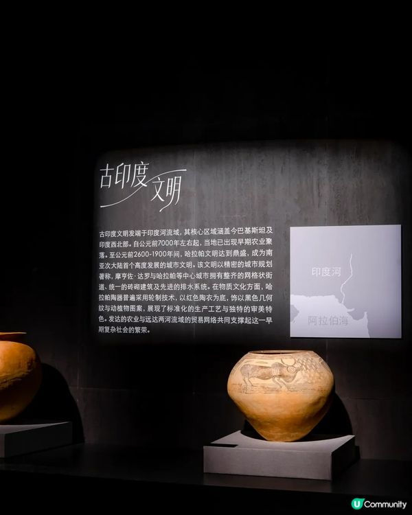 深圳展出超大型「恐龍骨架」真品🦕200+件全球文物真跡必去‼️