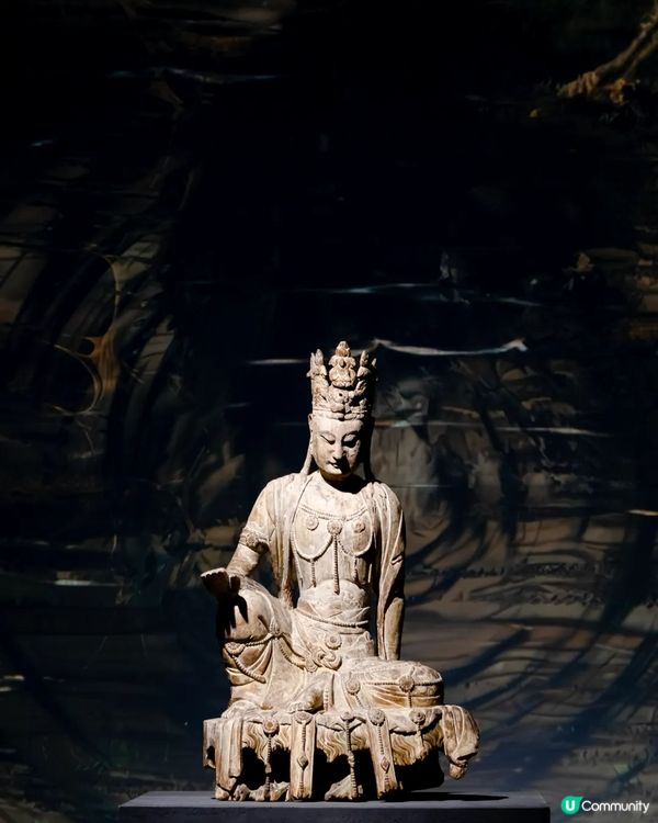 深圳展出超大型「恐龍骨架」真品🦕200+件全球文物真跡必去‼️