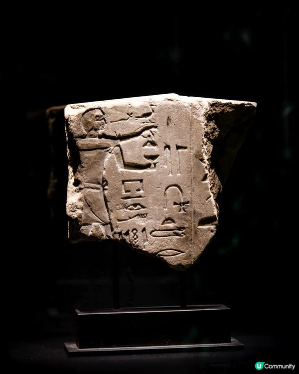 深圳展出超大型「恐龍骨架」真品🦕200+件全球文物真跡必去‼️