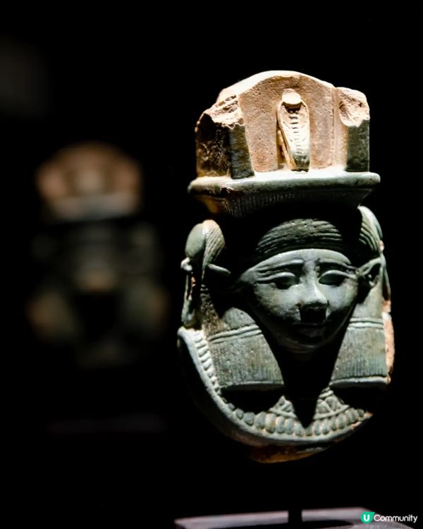 深圳展出超大型「恐龍骨架」真品🦕200+件全球文物真跡必去‼️