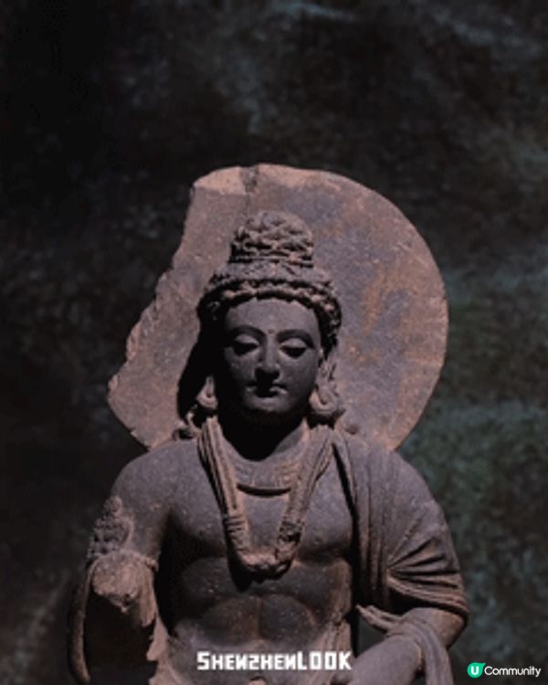 深圳展出超大型「恐龍骨架」真品🦕200+件全球文物真跡必去‼️