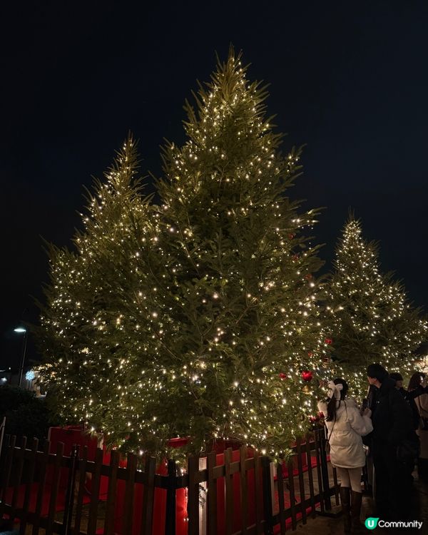 聖誕節的橫濱市集🥰🎄