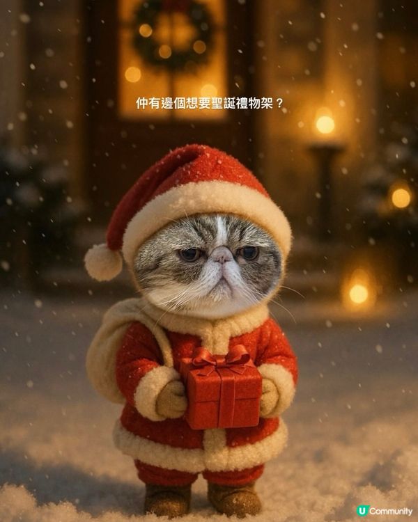 仲有邊個想要聖誕禮物架?🎄