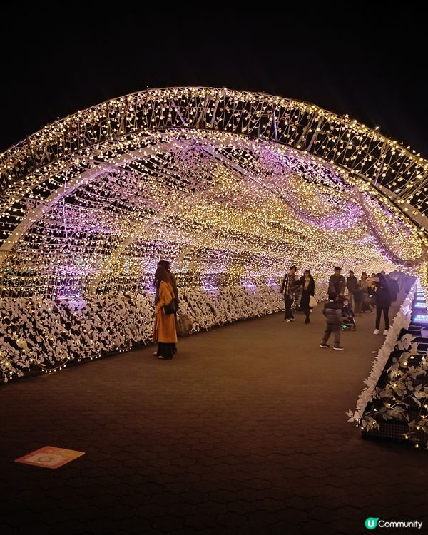 東京冬日大型灯飾 大井競馬場