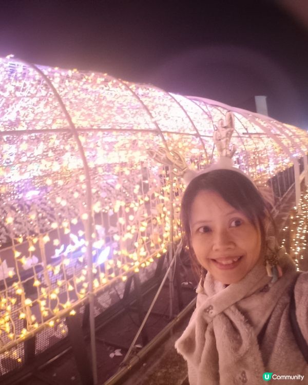 東京冬日大型灯飾 大井競馬場