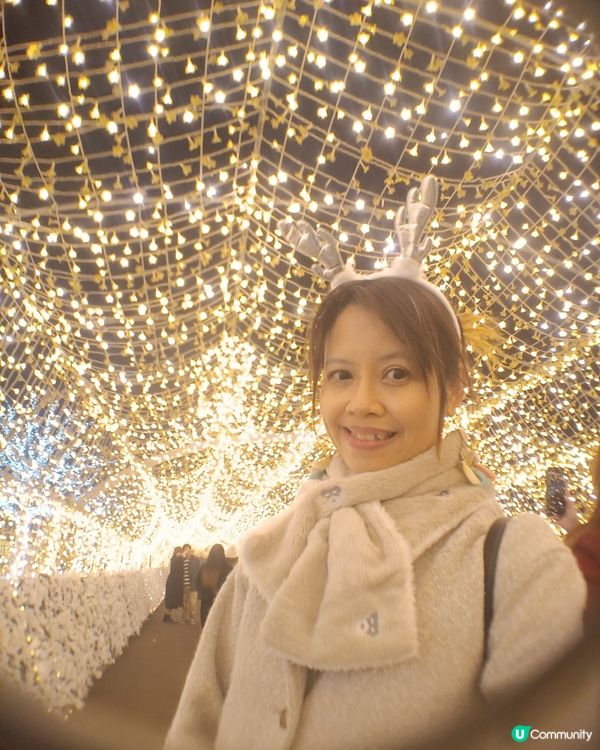 東京冬日大型灯飾 大井競馬場